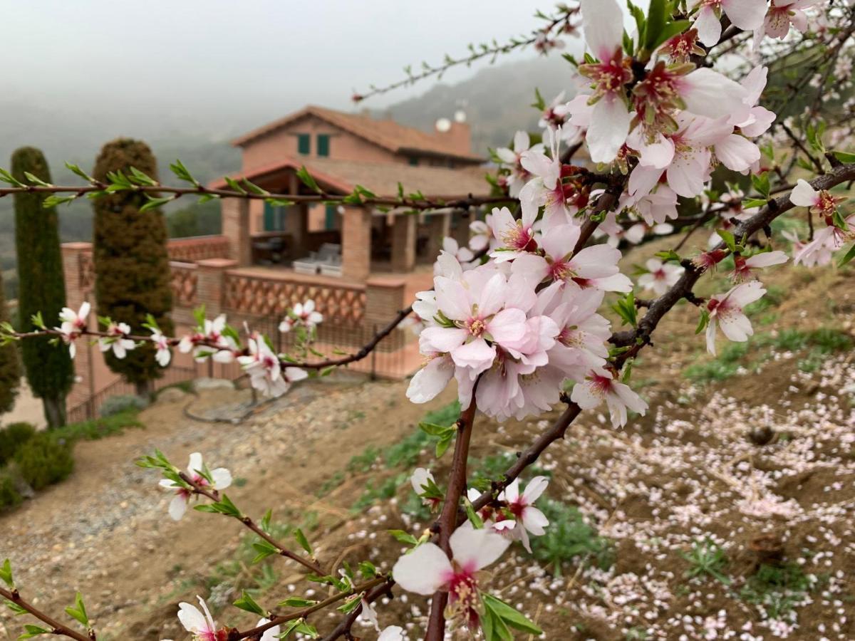 Can Ballus Bed&Breakfast Tiana Exterior photo